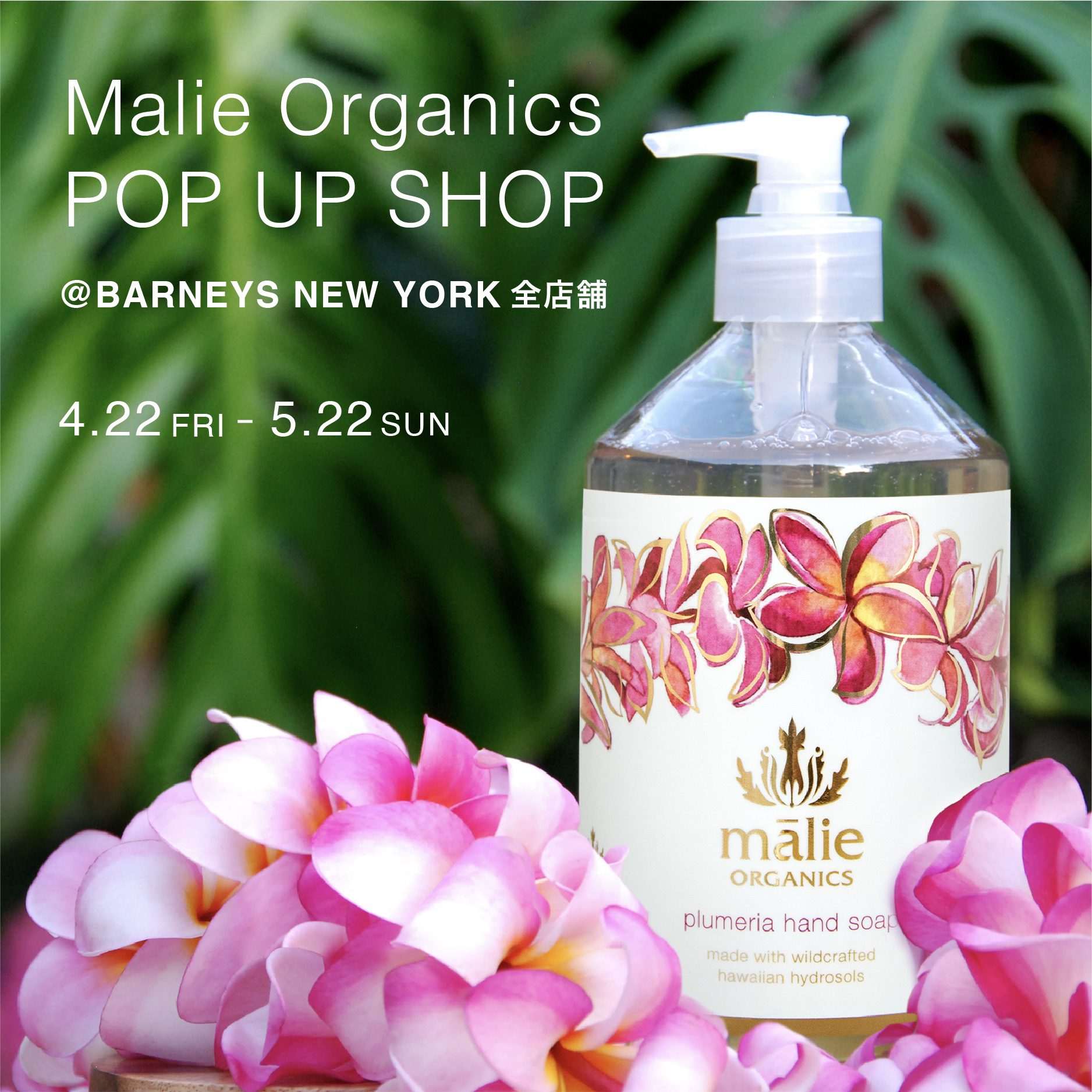 Malie Organics ユニセックス インテリア・マリエオーガ二クス Malie Organics（マリエオーガニクス ）」POP UP SHOP ＠バーニーズ